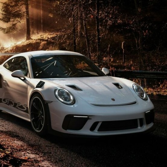 PORSCHE BLANCHE SOUS BOIS